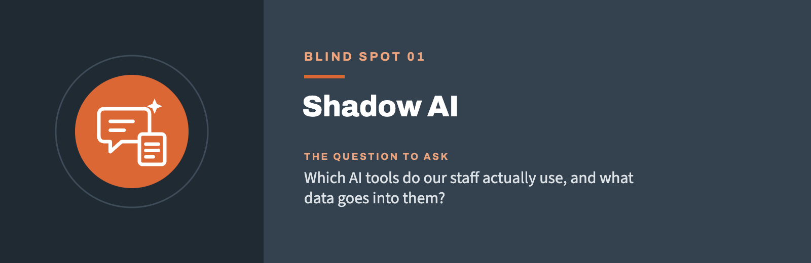 Blind spot 01: Shadow AI. Which AI tools do our staff actually use, and what data goes into them?